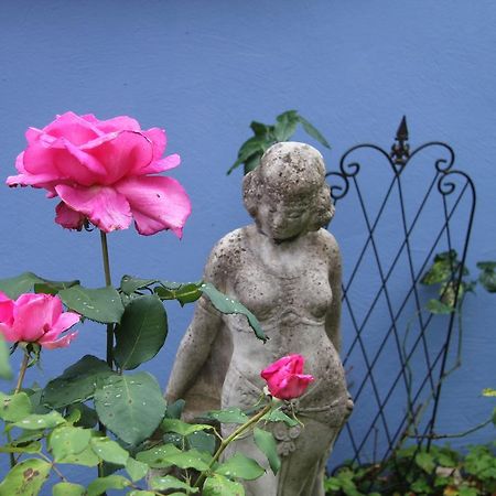 No.31 B&B Im Rosengarten Kapellen-Drusweiler Eksteriør billede